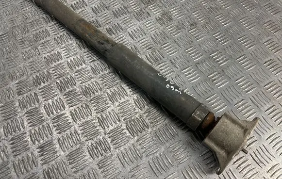 Rear shock absorber/damper