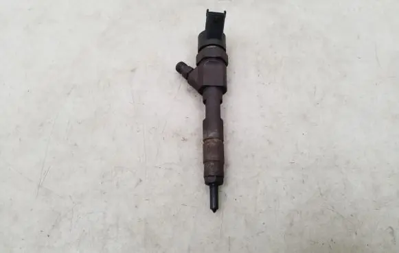 Renault Trafic II (X83) Fuel injector 8200238528