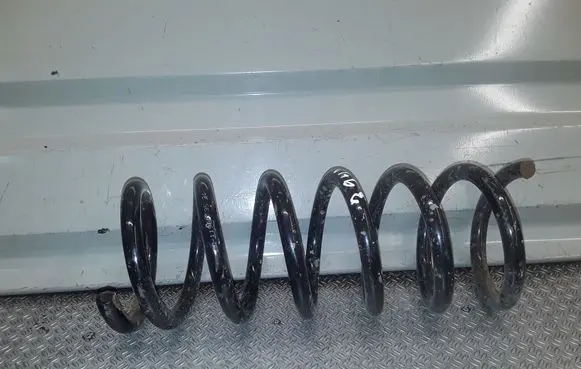 Renault Scenic RX Rear coil spring