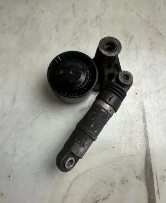 Porsche Cayenne (9PA) Alternator belt tensioner pulley 423234