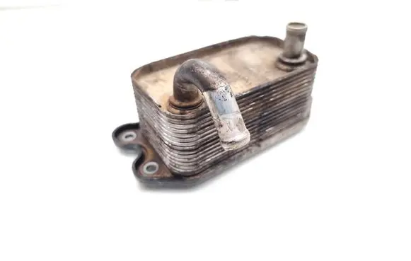 Volvo S60 Engine oil radiator 8677973 C5850000