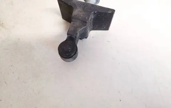 Rear door lower hinge