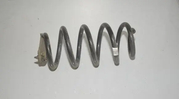 Rear coil spring