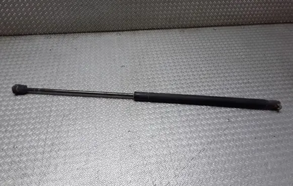 Tailgate/trunk strut/damper