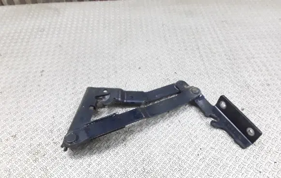 Citroen C8 Engine bonnet/hood hinges 72407G