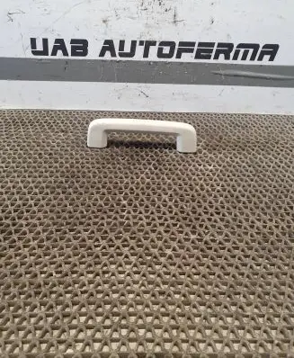 Ford Focus Front interior roof grab handle
