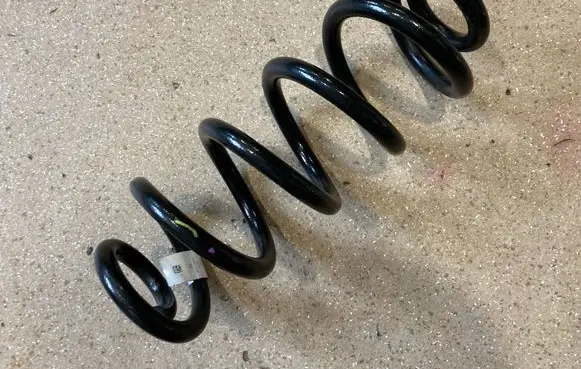Rear coil spring
