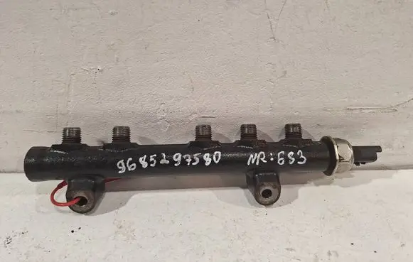 Peugeot Partner Fuel main line pipe 9685297580