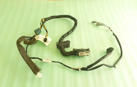 Front door wiring loom