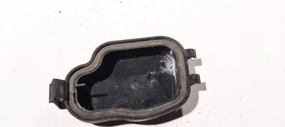Headlight/headlamp dust cover