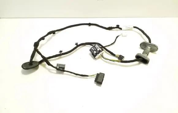 Ford Ecosport Rear door wiring loom CN1514633