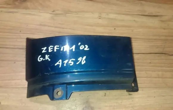 Rear/tail light trim molding