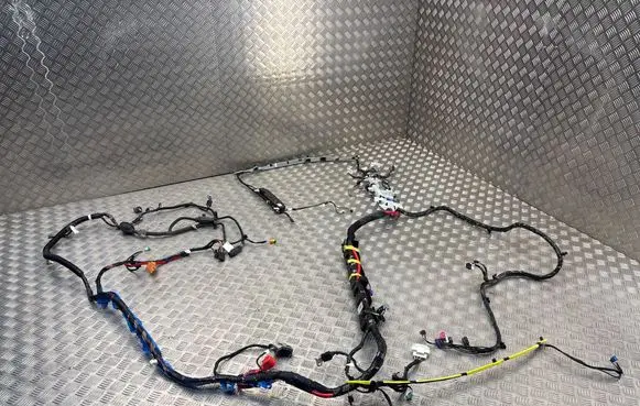 Tesla Model Y Other wiring loom 101558500A