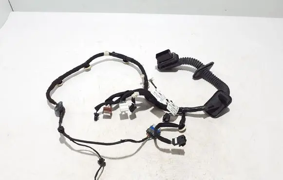Other wiring loom