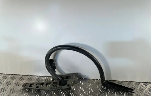 Tailgate/trunk/boot hinge