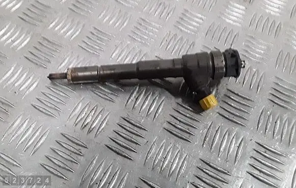 Renault Kangoo II Fuel injector 0445110485 H8201108033