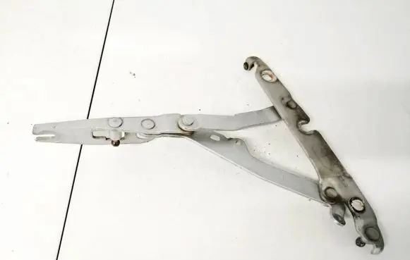 Audi A6 S6 C6 4F Tailgate/trunk/boot hinge