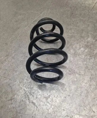 Rear coil spring