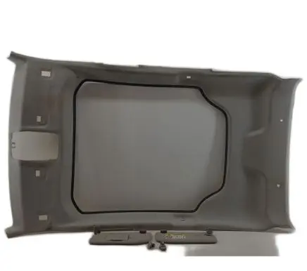Citroen C4 Cactus Headlining 22222222 98012879BJ