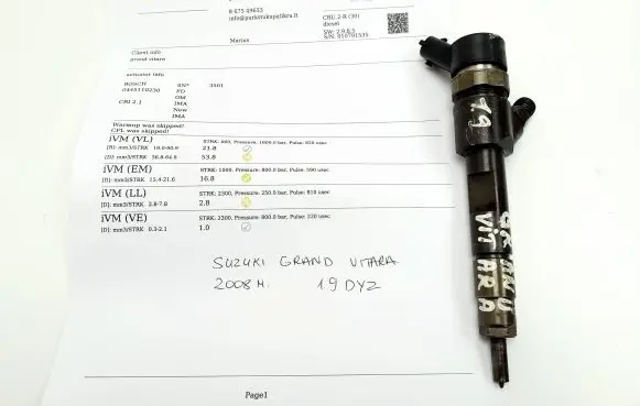 Suzuki Grand Vitara II Fuel injector 8200389369 0445110230