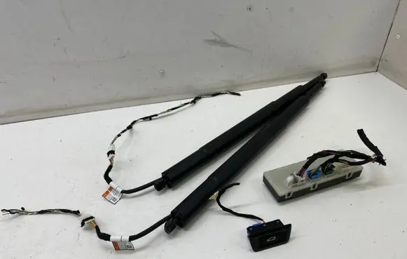 BMW 3 G20 G21 Tailgate hydraulic set 7453413 61355A19DB3