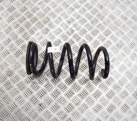 Tesla Model Y Rear coil spring 118847400B