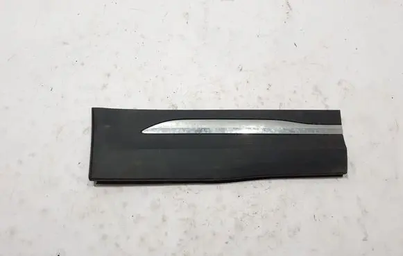 Rear door trim (molding)