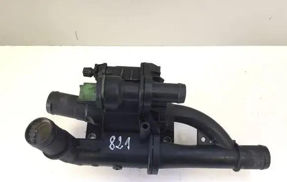Thermostat/thermostat housing