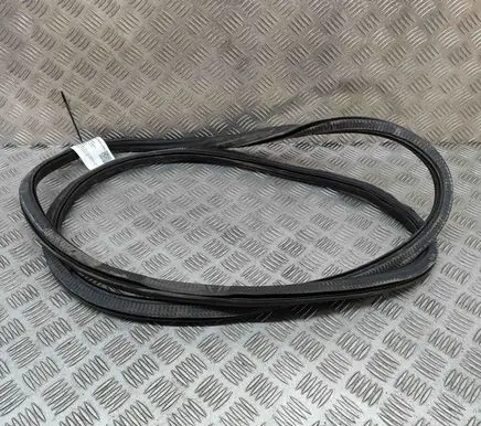 Porsche Panamera (971) Rubber seal front door (on door) 971831722