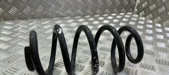Rear coil spring