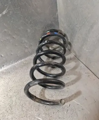 Renault Trafic II (X83) Front coil spring 