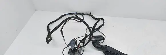 Rear door wiring loom