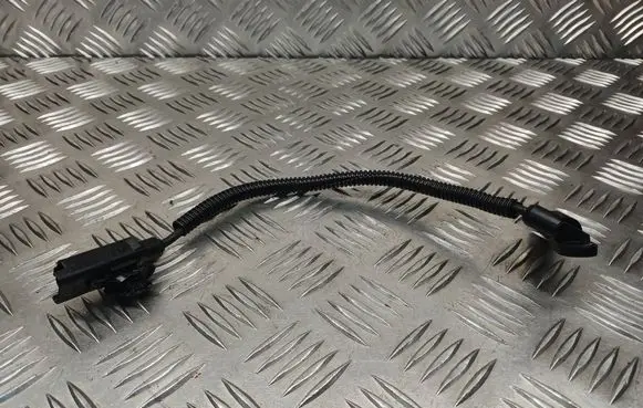 Citroen C4 I Picasso Camshaft position sensor 9664430980