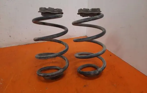 Renault Modus Rear coil spring