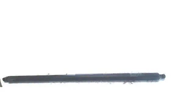 Ford Kuga II Tailgate strut CJ54-S402A74-AC CJ54S402A74AC 560N05913