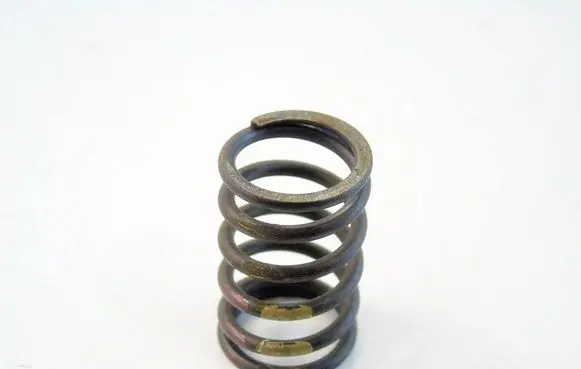 Seat Altea Valve spring BXESZGSMS142604241