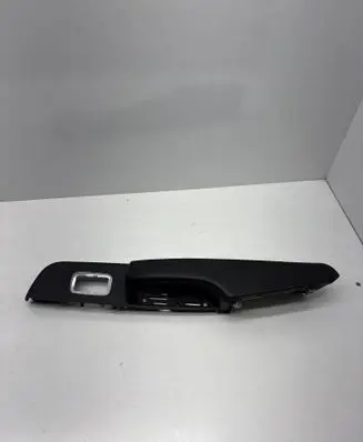 Dodge Charger Other rear door trim element L0203541DX9AD