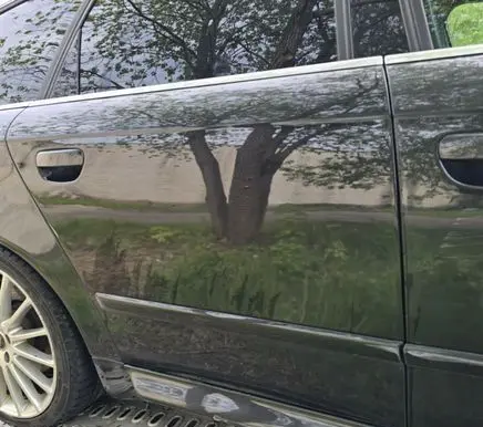 Audi A4 S4 B7 8E 8H Rear door LZ9Y