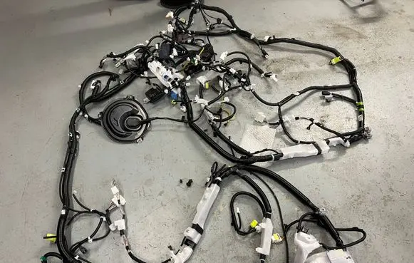 Toyota RAV 4 (XA50) Wiring harness 