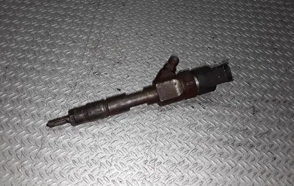 Renault Laguna II Fuel injector 0445110021
