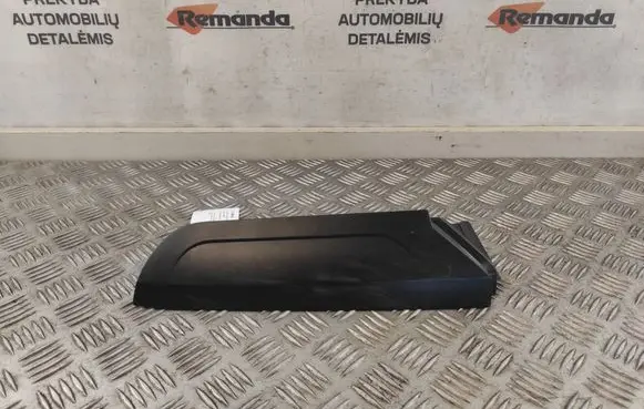 Rear/tail light trim molding