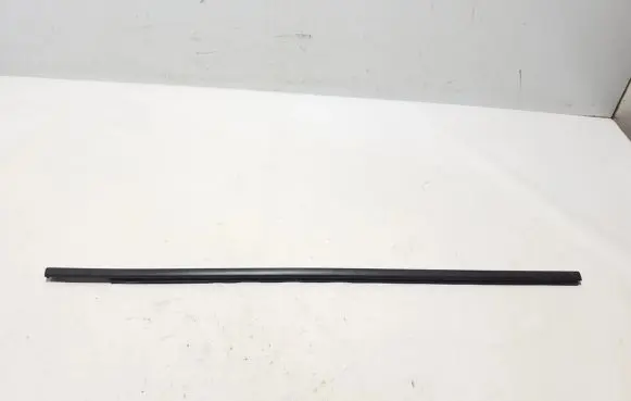 Dacia Spring Front door glass trim molding 808329848R