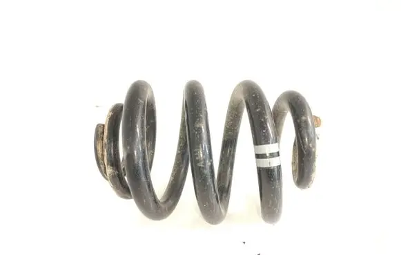 Rear coil spring