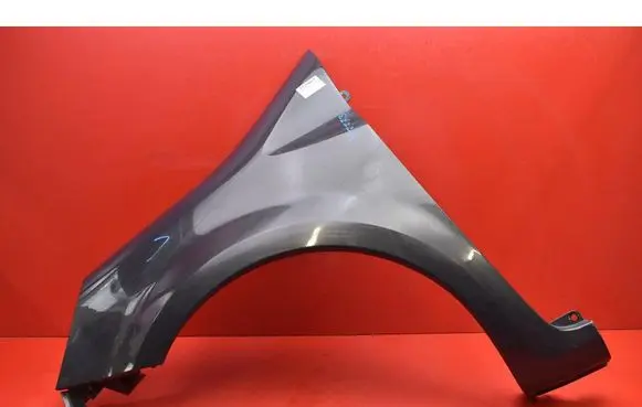 Renault Modus Fender