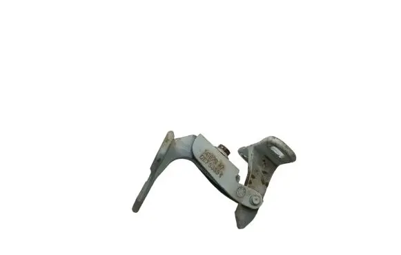 BMW X5 E70 Tailgate/trunk/boot hinge 14187910