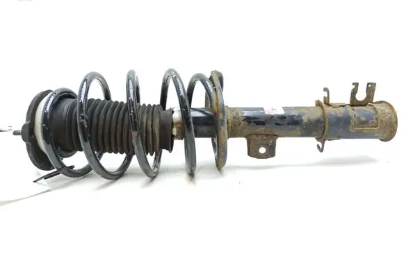Fiat Doblo Front shock absorber with coil spring