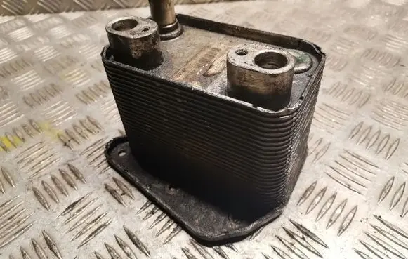 Mercedes-Benz E W210 Gearbox / Transmission oil cooler 6131880101