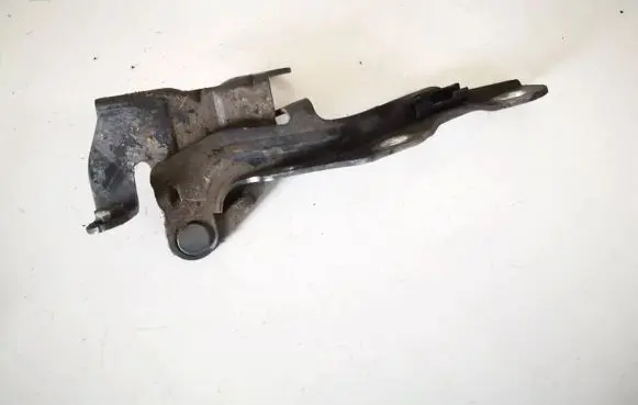 Hyundai i30 Engine bonnet/hood hinges 