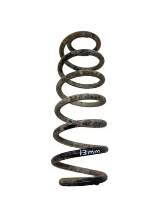 Volkswagen PASSAT B6 Rear coil spring