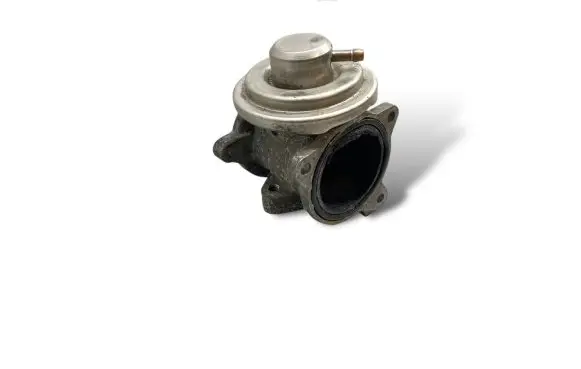 Volkswagen Polo IV 9N3 EGR valve 045131501K